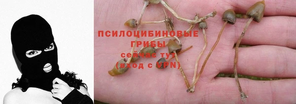 молекула духа Алексеевка