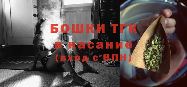 молекула духа Алексеевка