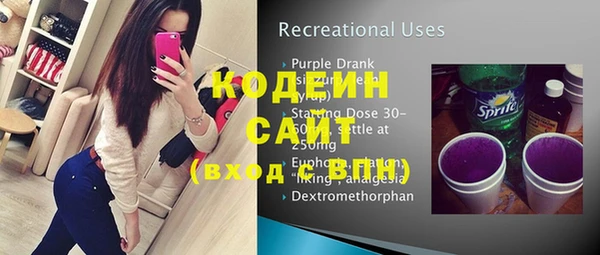 хмурый Абаза