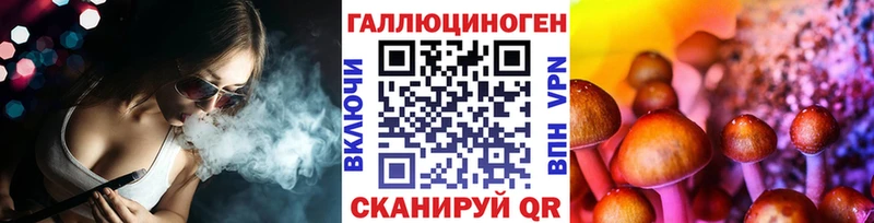 Псилоцибиновые грибы Magic Shrooms  OMG как войти  Пудож 